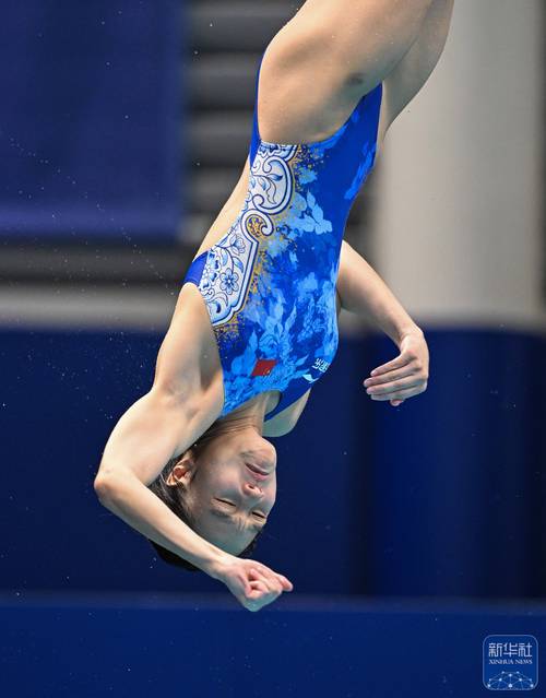 游泳世锦赛有跳水吗