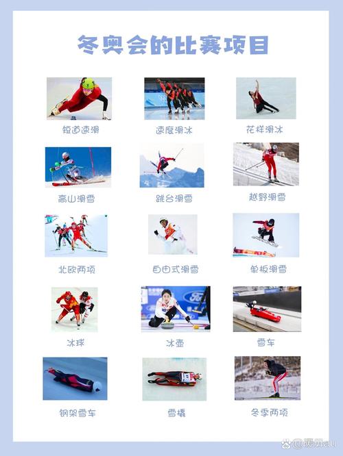 2022年北京冬奥会比赛项目简介
