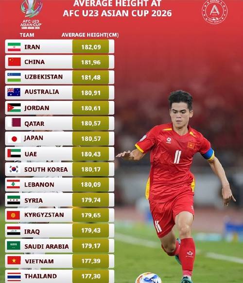 越南男篮世界排名