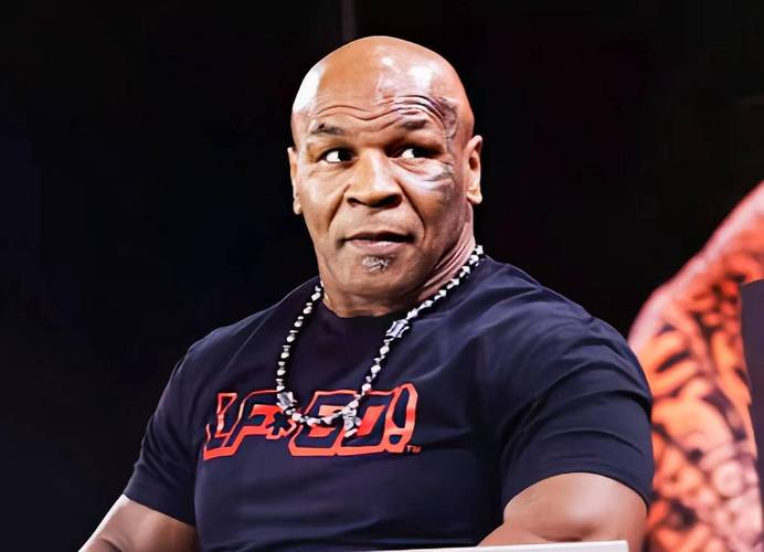 拳王是什么意思