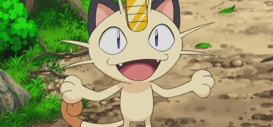 神奇宝贝火箭队宝可梦