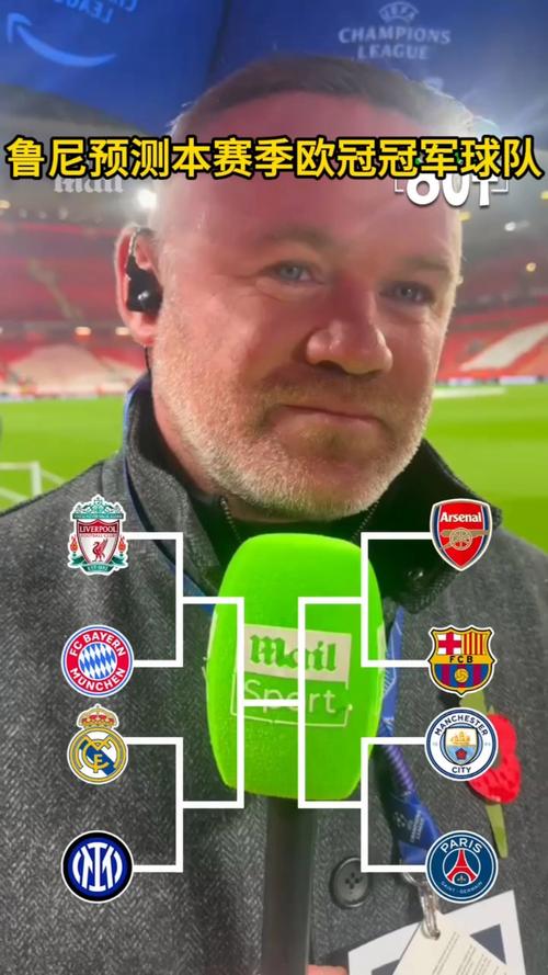 鲁尼现在在哪个球队