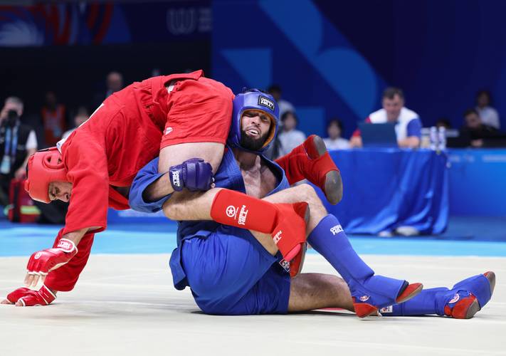 世界公认最厉害的格斗术