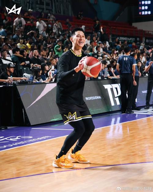 林书豪是哪国的