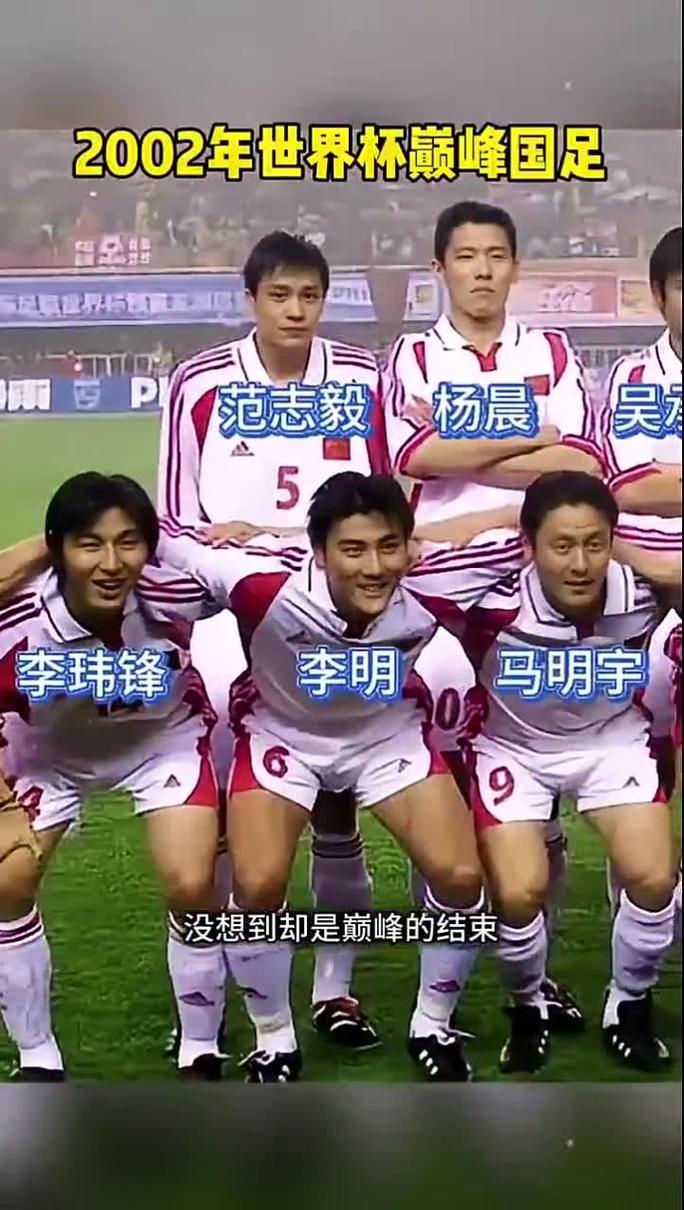 2002年世界杯中国队队员清单